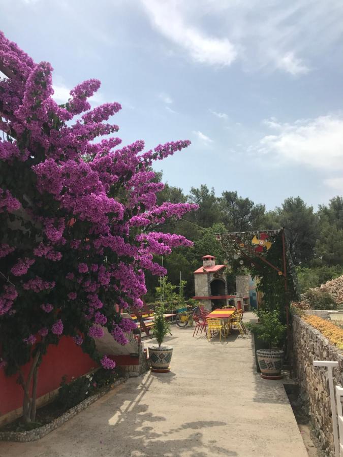 Lipovac Resort Ficus Билице Екстериор снимка